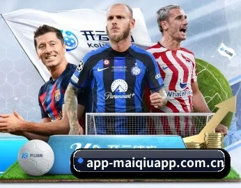 欧洲杯买球app APP